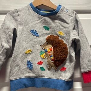 Baby Boden Gray Sweatshirt with Hedgehog and Leaf Appliques